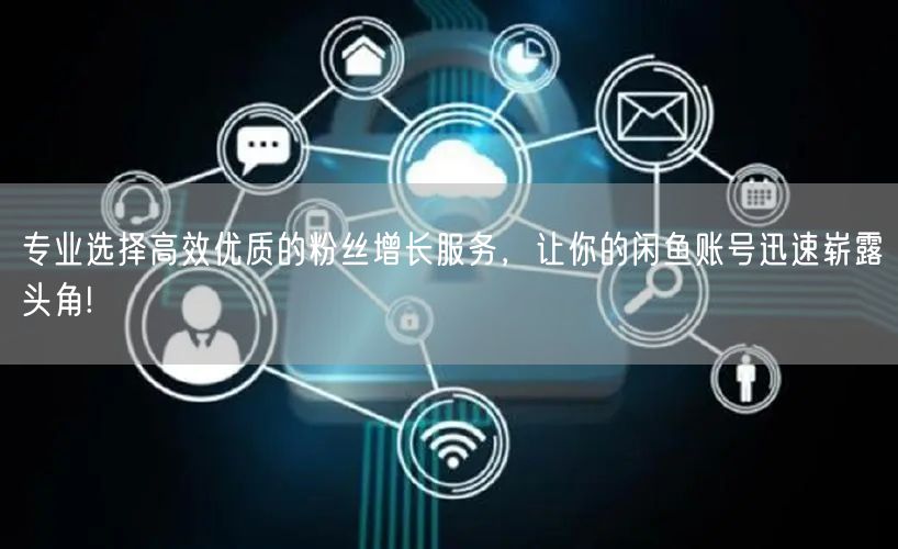 专业选择高效优质的粉丝增长服务，让你的闲鱼账号迅速崭露头角!