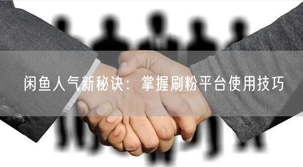 闲鱼人气新秘诀：掌握刷粉平台使用技巧