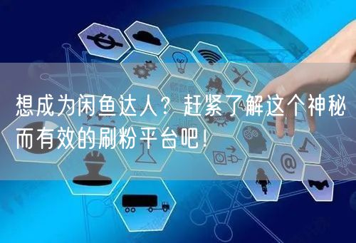想成为闲鱼达人？赶紧了解这个神秘而有效的刷粉平台吧！