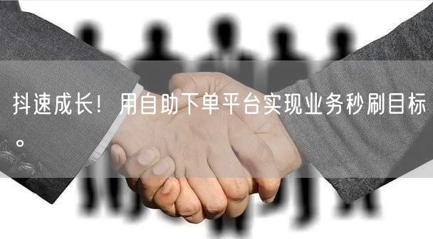 抖速成长！用自助下单平台实现业务秒刷目标。