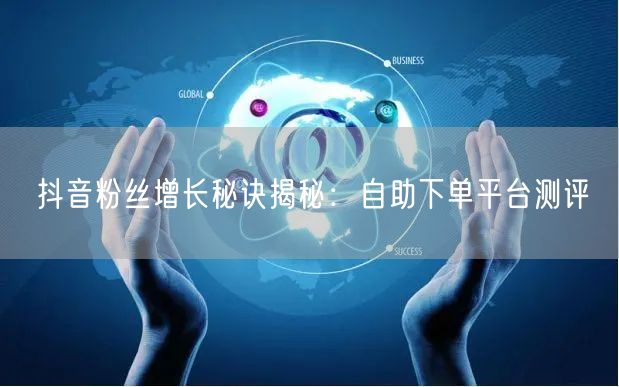 抖音粉丝增长秘诀揭秘：自助下单平台测评