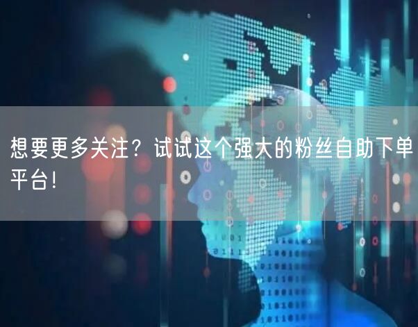 想要更多关注？试试这个强大的粉丝自助下单平台！