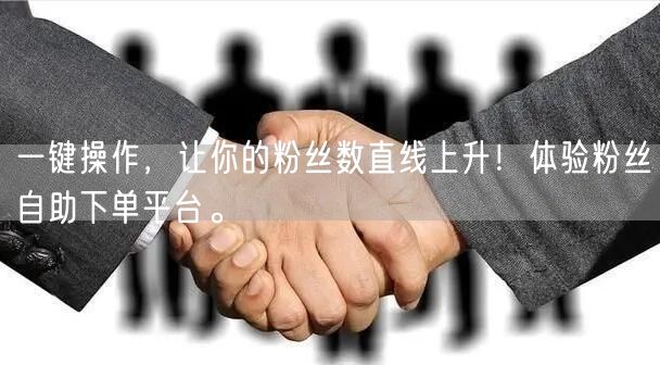 一键操作，让你的粉丝数直线上升！体验粉丝