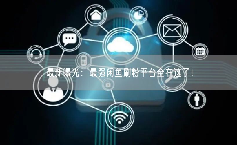 最新曝光：最强闲鱼刷粉平台全在这了！