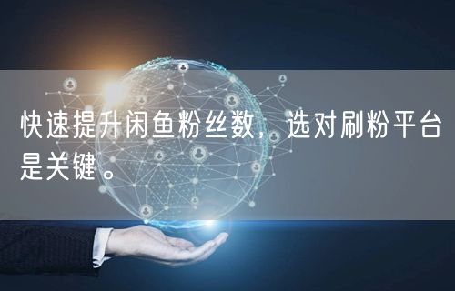快速提升闲鱼粉丝数，选对刷粉平台是关键。