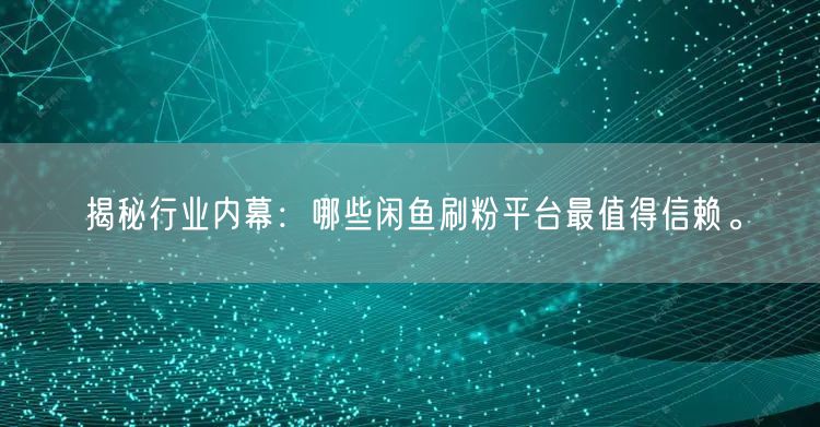 揭秘行业内幕：哪些闲鱼刷粉平台最值得信赖