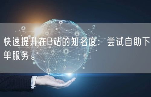 快速提升在B站的知名度：尝试自助下单服务。