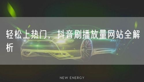 轻松上热门，抖音刷播放量网站全解析