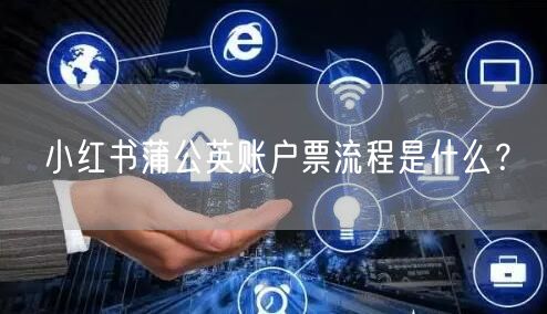 小红书蒲公英账户票流程是什么？