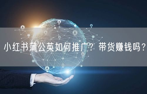小红书蒲公英如何推广？带货赚钱吗？