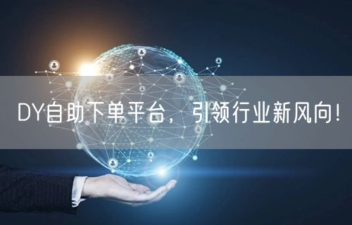 DY自助下单平台，引领行业新风向！