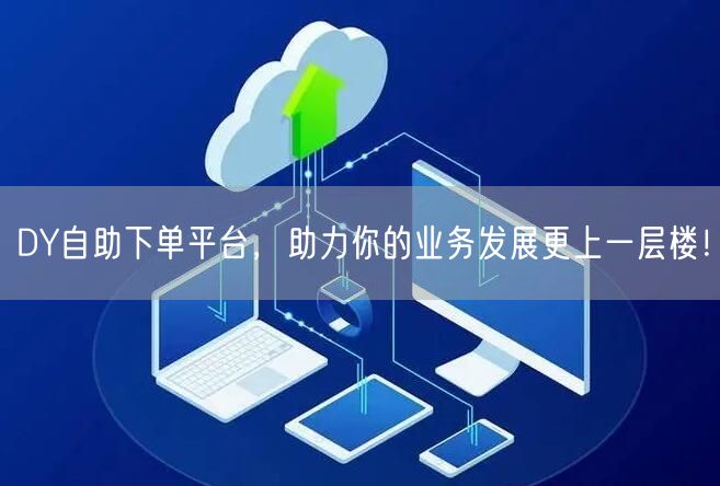 DY自助下单平台，助力你的业务发展更上一