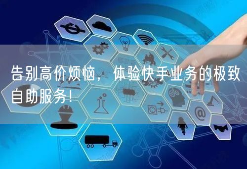 告别高价烦恼，体验快手业务的极致自助服务