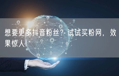 想要更多抖音粉丝？试试买粉网，效果惊人!