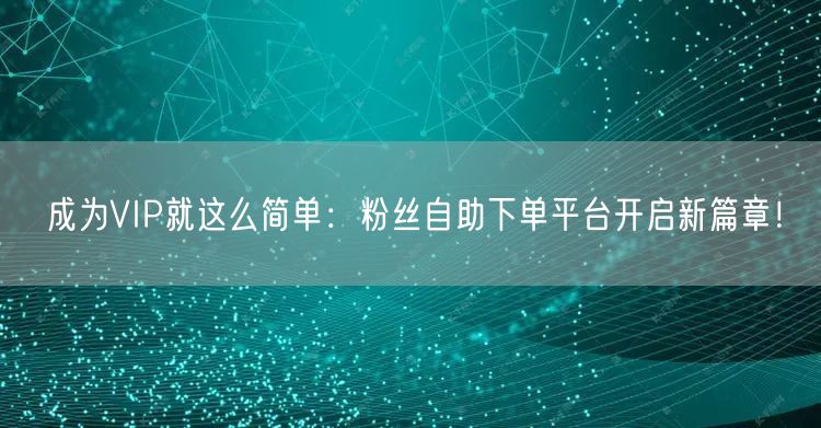 成为VIP就这么简单：粉丝自助下单平台开
