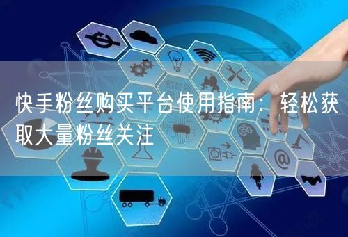 快手粉丝购买平台使用指南：轻松获取大量粉丝关注