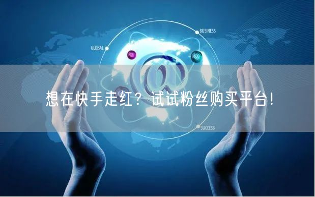 想在快手走红？试试粉丝购买平台！