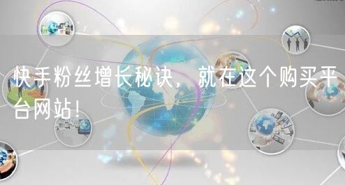 快手粉丝增长秘诀，就在这个购买平台网站！