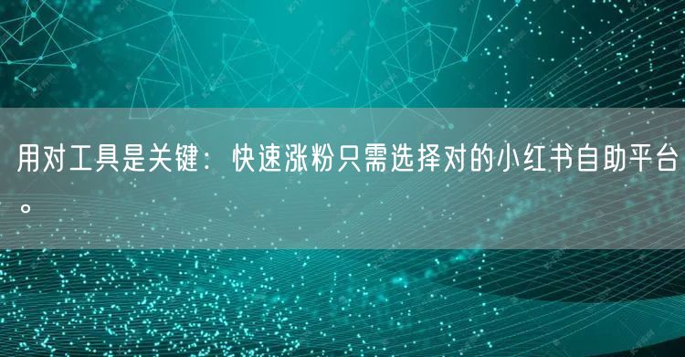 用对工具是关键：快速涨粉只需选择对的小红