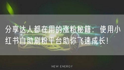 分享达人都在用的涨粉秘籍：使用小红书自助刷粉平台助你飞速成长