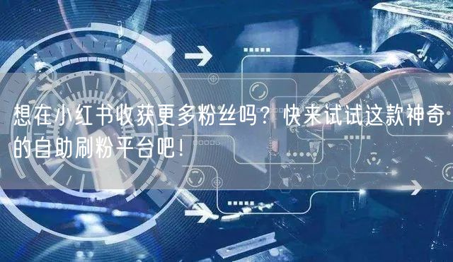 想在小红书收获更多粉丝吗？快来试试这款神奇的自助刷粉平台吧！