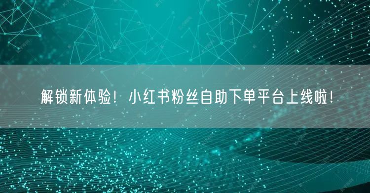 解锁新体验！小红书粉丝自助下单平台上线啦！