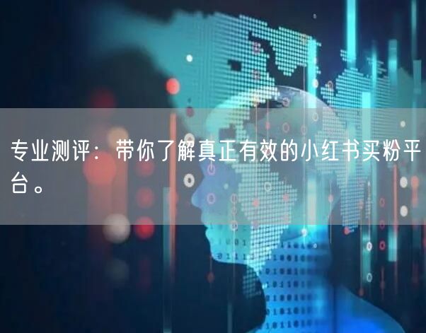 专业测评：带你了解真正有效的小红书买粉平台。
