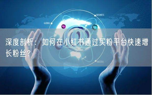 深度剖析：如何在小红书通过买粉平台快速增长粉丝？