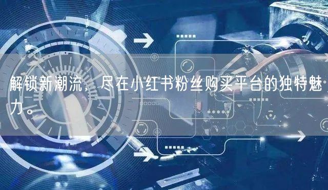 解锁新潮流，尽在小红书粉丝购买平台的独特魅力。