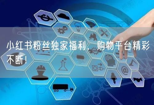 小红书粉丝独家福利，购物平台精彩不断！