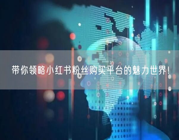 带你领略小红书粉丝购买平台的魅力世界！