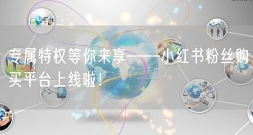 专属特权等你来享——小红书粉丝购买平台上线啦！