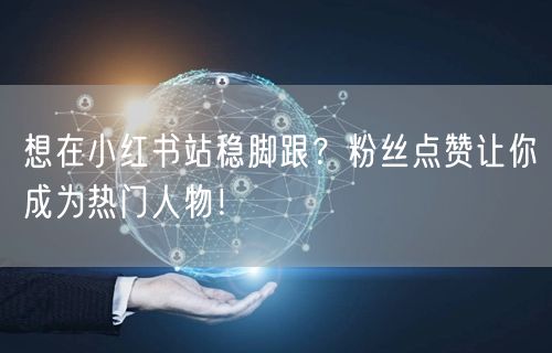 想在小红书站稳脚跟？粉丝点赞让你成为热门人物！