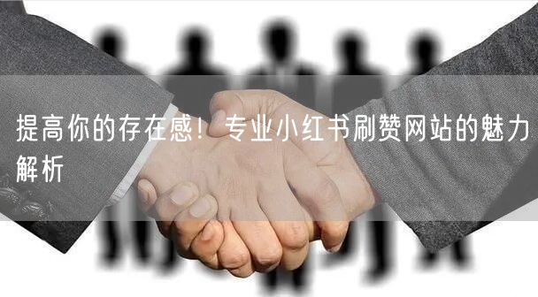 提高你的存在感！专业小红书刷赞网站的魅力解析