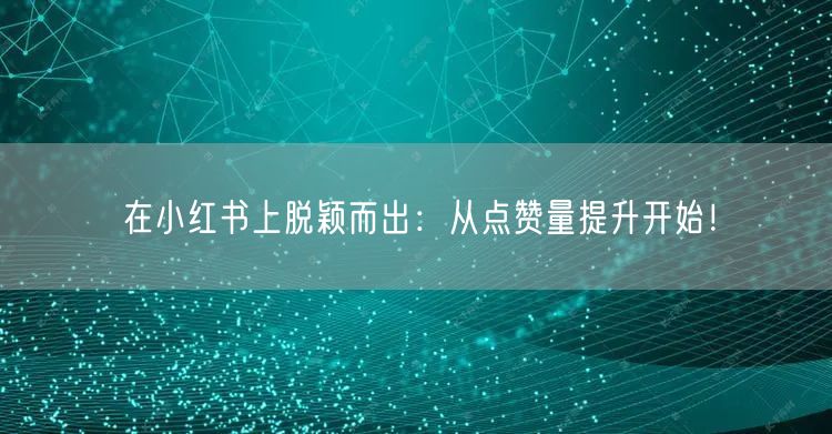 在小红书上脱颖而出：从点赞量提升开始！