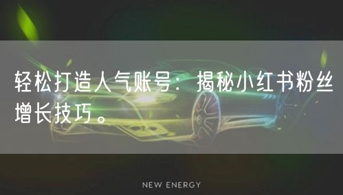 轻松打造人气账号：揭秘小红书粉丝增长技巧。