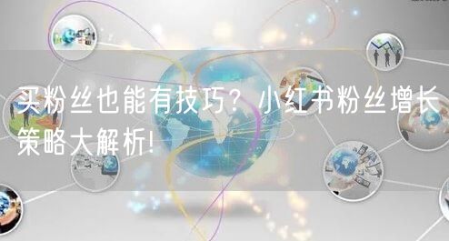 买粉丝也能有技巧？小红书粉丝增长策略大解析!