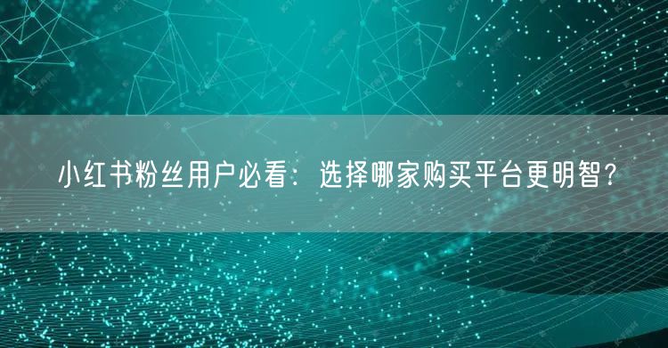 小红书粉丝用户必看：选择哪家购买平台更明智？