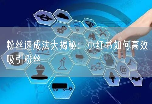 粉丝速成法大揭秘：小红书如何高效吸引粉丝