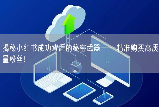 揭秘小红书成功背后的秘密武器——精准购买高质量粉丝!