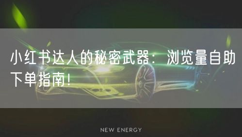 小红书达人的秘密武器：浏览量自助下单指南！