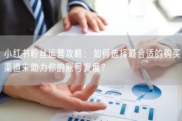 小红书粉丝运营攻略：如何选择最合适的购买渠道来助力你的账号发