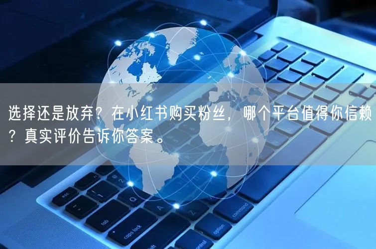 选择还是放弃？在小红书购买粉丝，哪个平台值得你信赖？真实评价