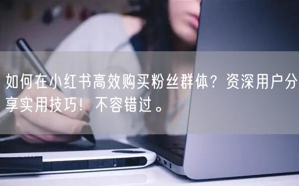 如何在小红书高效购买粉丝群体？资深用户分享实用技巧！不容错过