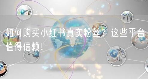 如何购买小红书真实粉丝？这些平台值得信赖！