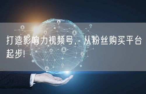 打造影响力视频号，从粉丝购买平台起步!
