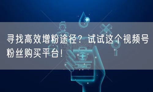 寻找高效增粉途径？试试这个视频号粉丝购买平台！