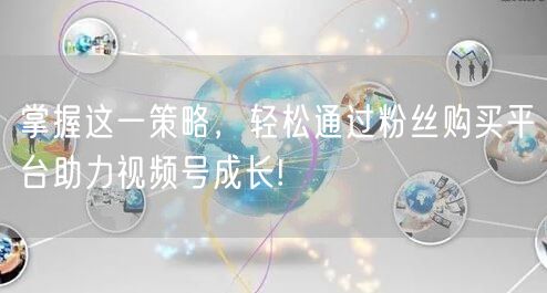 掌握这一策略，轻松通过粉丝购买平台助力视
