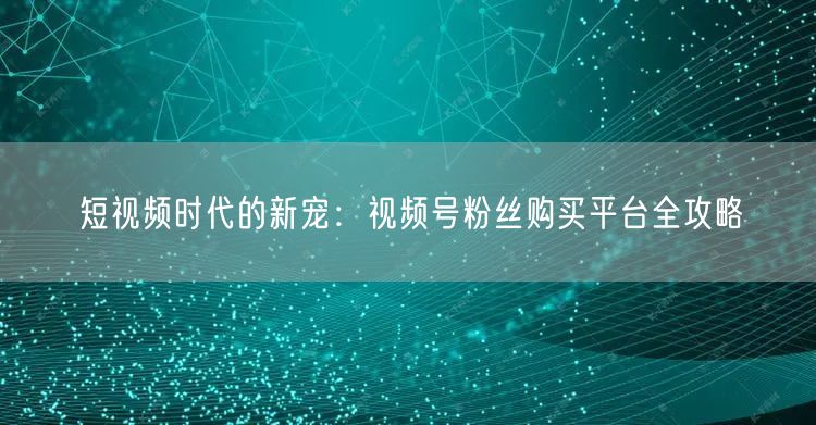 短视频时代的新宠：视频号粉丝购买平台全攻