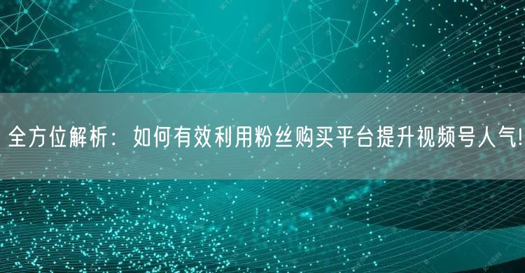 全方位解析：如何有效利用粉丝购买平台提升
